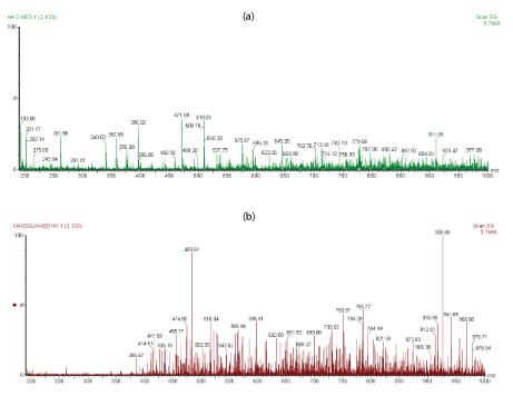 Characterization of Linear and Chemically Cross-linked Hyaluronic acid ...