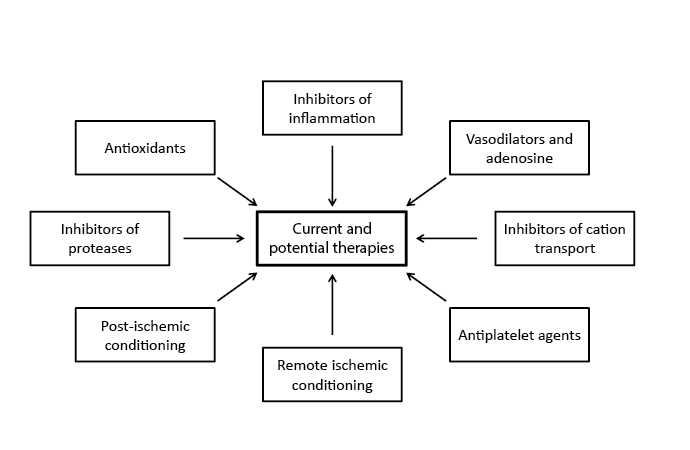 potential therapies in the management
of patients with I/R injury